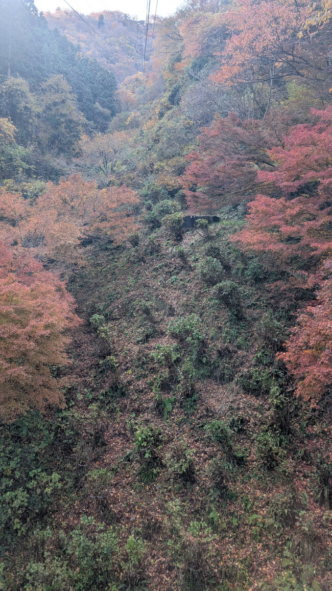 ロープウェーの窓から下を覗くと、もみじが鮮やかに色づいていました。