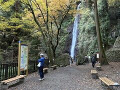 やっと出ました！養老の滝・・・