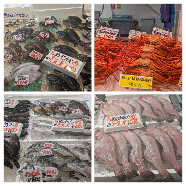 お魚の種類がとても多く、日本海の冬の海の幸は豊富なんだなと感じました。