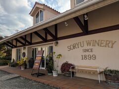 ゆっくり有料試飲
こちらは白のナイアガラが軽くて、ジュース飲みたいときに良い…？
こちらはまたまた新酒スルーしちゃいました