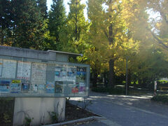 東口の前を走る綱島街道を渡ると、その先はすぐ慶應義塾大学のキャンパスになる。
1930年（昭和5年）に東急電鉄から提供された7万2000坪の駅前土地をもとに、追加の買収分等も含め計13万坪（43ヘクタールくらいか）もある広大な日吉キャンパス。
門はなく、正面の銀杏通りを始めとする主要通路が、近隣住民の通勤や散歩に開放されているのもユニーク。通学者にとっては、駅に近いことはこの上なく便利。
日吉キャンパスが開設された頃は、目蒲線経由で三田に直結の地下鉄がつくられるなど想像する人もいなかったであろう。先生も両キャンパス掛け持ち可能であろう。