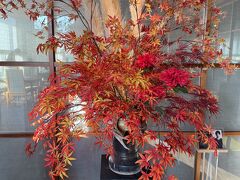 思いがけず、紅葉狩りができました～♪