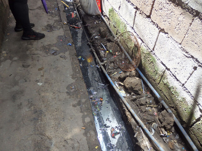 ・ハッピーランド　<br /><br />こっちも。。。<br />