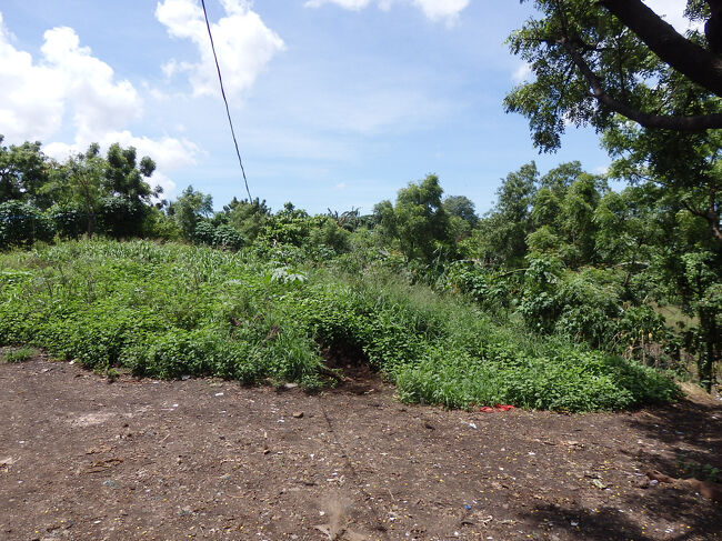 ・スモーキーマウンテン　<br /><br />その昔は大量のゴミが山積みで、最大でゴミだけで４０ｍほどにもなったんやとか。<br />