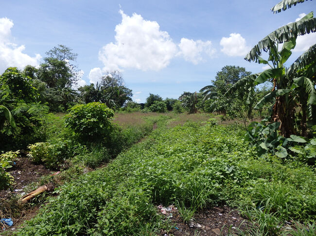 ・スモーキーマウンテン　<br /><br />そんな長年にわたって蓄積されてきたゴミからメタンガスが発生し、自然発火によって常に煙を上げてたことから、スモーキーマウンテンと呼ばれてたらしい。<br />