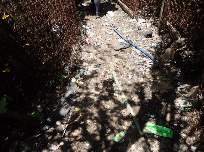 ・スモーキーマウンテン　<br /><br />もう１枚。<br />