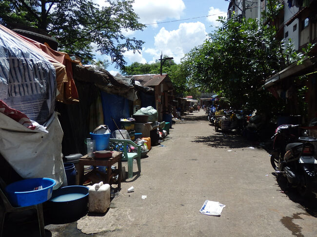 ・スモーキーマウンテン　<br /><br />マジョリーの体力的に山歩きが辛かったんもあったんか、スモーキーマウンテンの滞在は３０分ほどで終了。<br />もう少し観たい気はしたけど、色々と詳しく説明はしてもらえたんで、ある程度満足した感じ。<br />２割？くらいしか英語が分からんかったけどね、、、申し訳ない。。。<br />