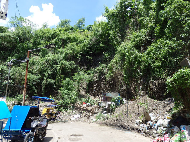 ・スモーキーマウンテン　<br /><br />山肌。<br />