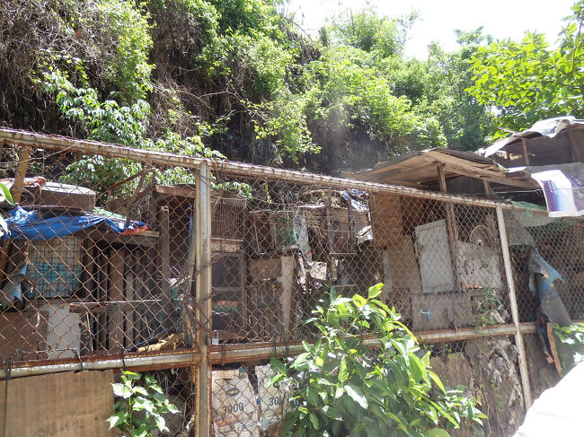 ・スモーキーマウンテン　<br /><br />柵の向こう側にも家が。<br />