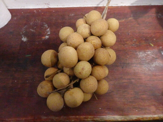 ・龍眼　<br /><br />売ってたんで買ってみた、最後の最後に。<br />ちょっと食べたかったんで。<br />龍眼、好きなんよね～♪<br />