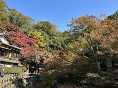 幼少の頃　家族で行った箕面

昔は「つるや（有名な料亭、現在はマンション）前」から箕面大滝の滝見橋まで馬に曳かれた観光馬車が走っていました

パカパカパカとムチで叩かれ、蹄から火花を散らして登ってました

今でも、馬が水を飲んだ水飲み場が滝道に残っており、当時をしのぶことができます

いつも　瀧安寺前広場で　母が作ったお弁当を　広げて
家族で過ごした日々
夏は　川に下りて水浴び