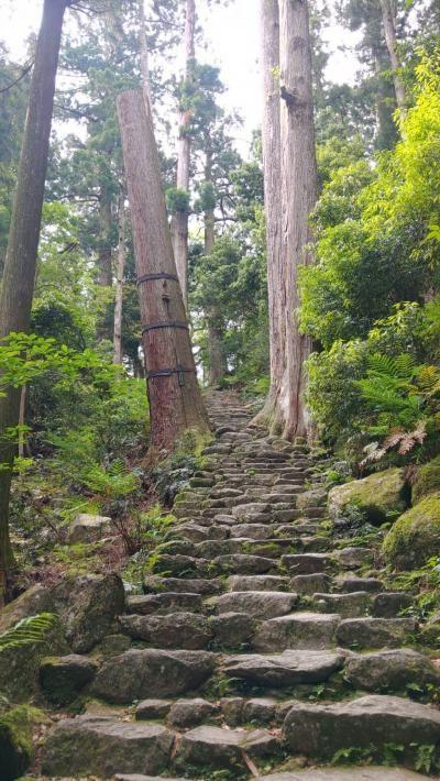 熊野古道　<br />世界遺産を歩きました。