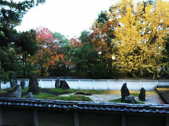 大阪城公園へ来たのは、豊國神社の「秀石庭」を見たかったから。
千成瓢箪を大胆にデザインしている。
重森三玲　昭和４７年（１９７２年）作。７６歳。
