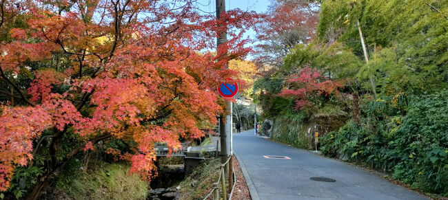 明月院を通り過ぎて、住宅地をしばらく進み小道を右に入ると、天園ハイキングコース明月谷入口から下りてきた人と出会ったので、登山口がすぐ分かり、ラッキーでした。<br />