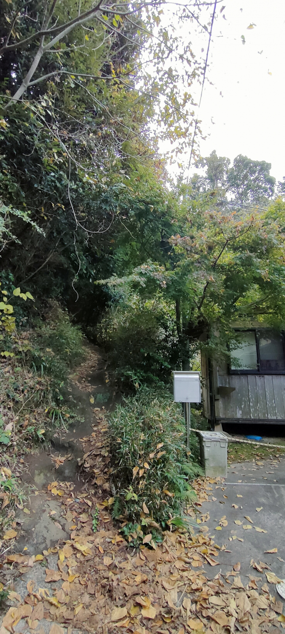 此処が、天園ハイキングコース明月谷入口、ちょっと分かりにくいです。<br />