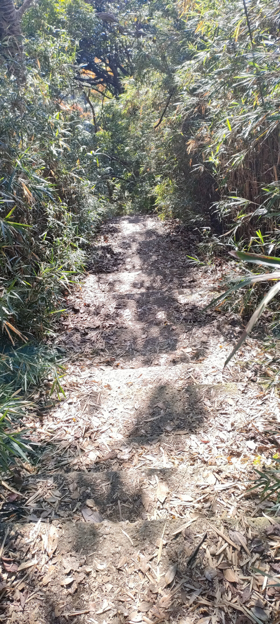 建長寺半僧坊の標識まで、人と会わなかったです