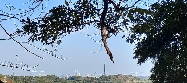 木々の間から少し展望があり、横浜のランドマークタワーなどが確認できた。