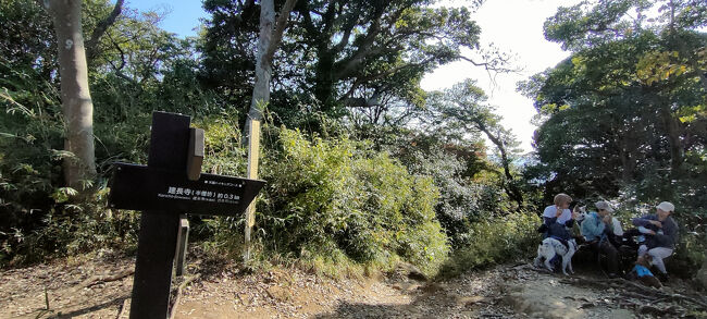 建長寺の半僧坊への路が出てきました、ここから登ってくる人が増えました。<br />犬連れの人達が休憩中<br />夫が休憩したいというので、私共もベンチに座って休憩したせいか？ワンコを見てたせいか？勝上嶽展望台からの眺望を見るのを忘れました。<br />建長寺境内や鎌倉市街地方面、相模湾が見えるのですよ。