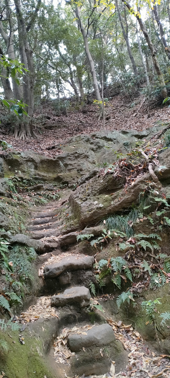 こんな道を進み