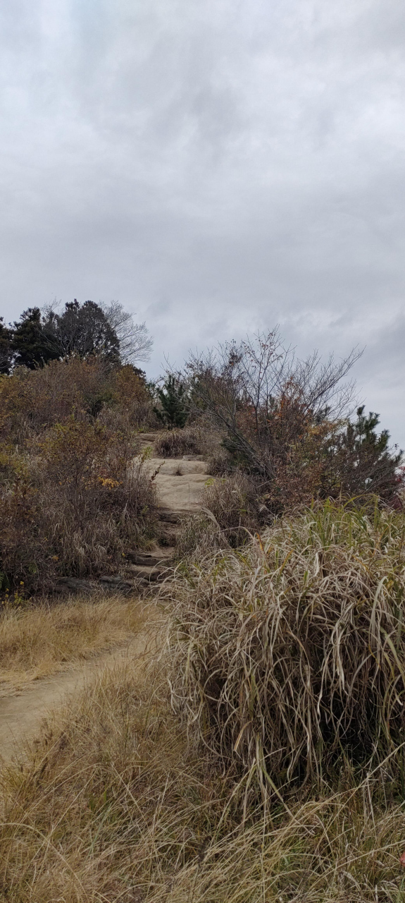 崖のような段差を注意しながら下りました。