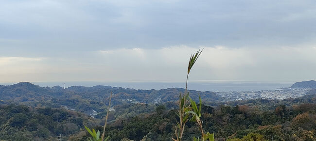 天園からの眺望