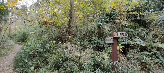 獅子舞への道を横目に瑞泉寺を目指します、夏への扉さんから言われるまで獅子舞が鎌倉の紅葉名所と知りませんでした。