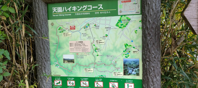 天園ハイキングコースマップ