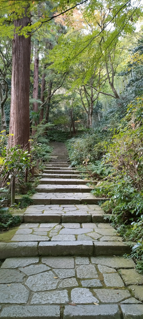 瑞泉寺<br />拝観料２００円<br />最初、長い階段が続きます