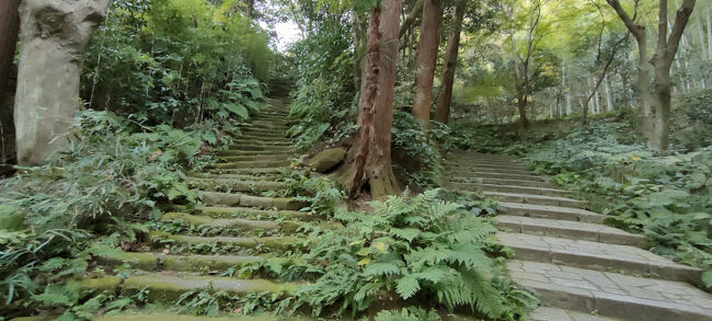 左に古道が出てきましたが、歩きにくそうなので右の道を進みました。