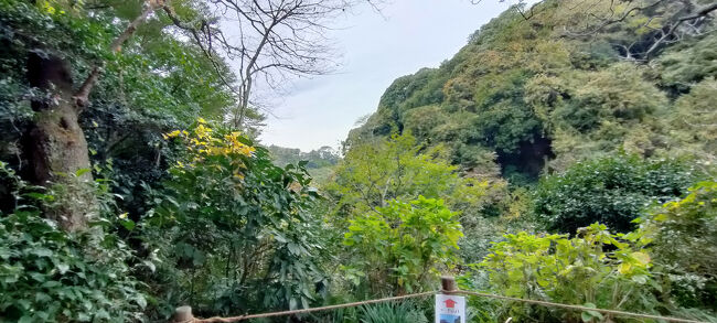 富士山が見えるポイント<br />今日は見えませんでした