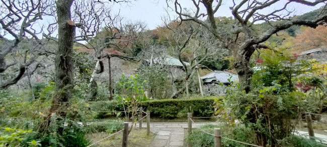 梅の木があったので、春に来たら良いでしょうね。