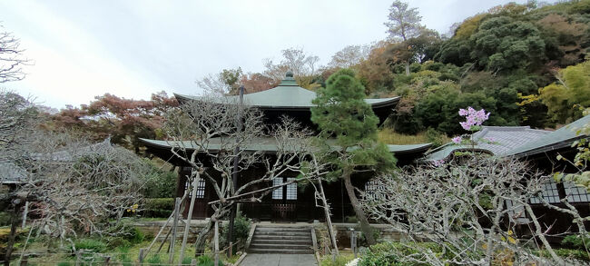 本堂<br />本尊の釈迦如来は見ることは出来ず