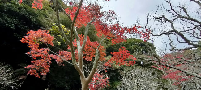 入口に戻って、トイレを拝借して退出