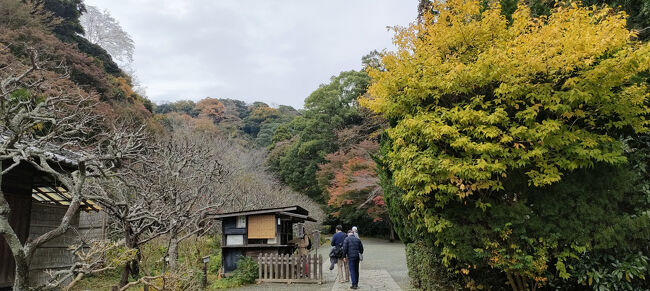 瑞泉寺<br />拝観料２００円