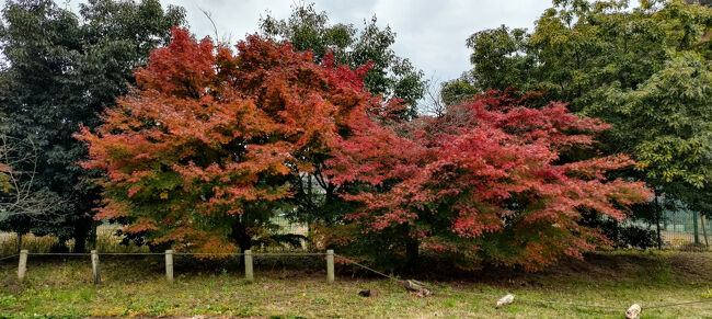 史跡公園になっており、ベンチに座ってお弁当を食べてる歩こう会？の人達がいて、のんびりできそうな公園