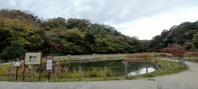 長らくススキが生える湿地となっていたが、2007年（平成19年）以降復元整備工事に着手し2017年（平成29年）に史跡公園として公開されています