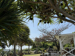 次の日は起きてモーニングを食べにカフェへ…♪
Bottle palm gardenさんです。