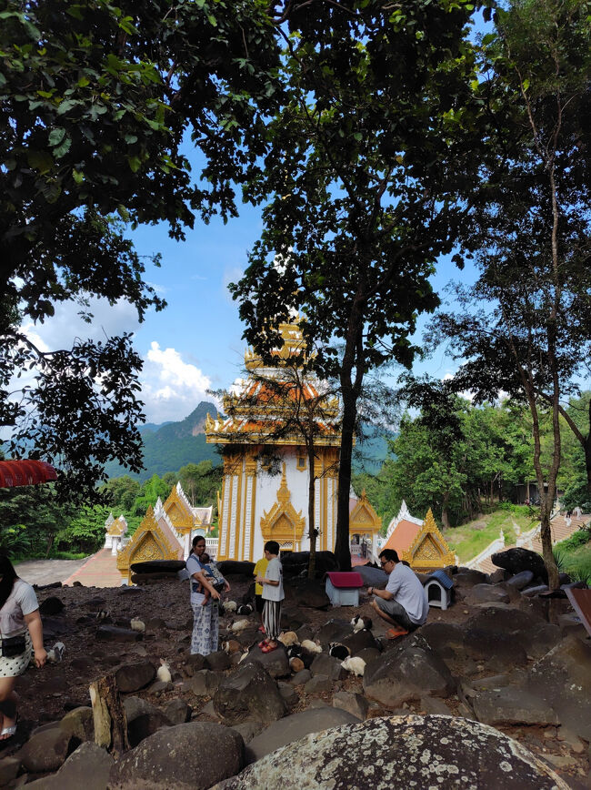 ウサギの楽園と言うより、ウサギが好きなニンゲンの楽園なのかもしれぬ。