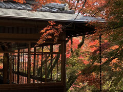 2025.11.27　木　AM10：43　　宝厳院
https://hogonin.jp/　　公式HP
 京都府京都市右京区嵯峨天龍寺芒ノ馬場町３６
P＝なし　天龍寺駐車場利用　1000円
大人700円　小中学生300円
宝厳院・弘源寺割引共通券1000円
-----------------------------------
夜間ライトUP＝1000円
2025年11月14日（金）～12月7日（日）