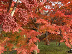 2025.11.27　木　PM13:16　智積院
https://chisan.or.jp/　　公式HP
京都府京都市東山区東瓦町964番地
無料大駐車場有　　境内無料　　庭園有料
