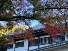 如意庵と紅葉
佛日庵の向かいにある如意庵は、1370年創建とあるから、室町時代に築かれたことになる。
