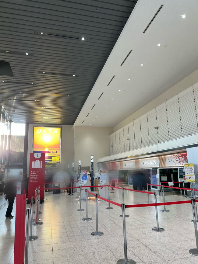 荷物を預けます～