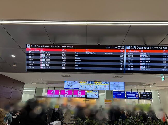 8:15発 JAL2081便です<br />この便はとても人気でなかなかの値段しますが、祝日はかなりお値打ちです～セキュリティーチェックを通過して