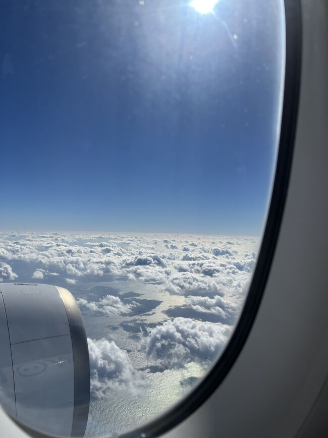 飛行機に乗らないと見れない景色です