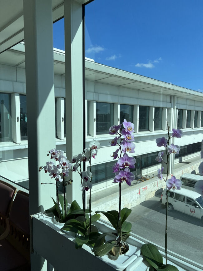 10:51<br />沖縄キターーーって思う瞬間！！