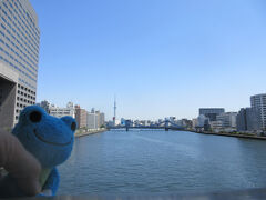 隅田川（隅田川大橋ビュー）

今日は深川方面へ
隅田川大橋まで来ると隅田川が現れ、視界がブワーと広がる。さっきまでコンクリートの地面だった都内にこんな大きな川が流れていことになんかすごっ、となる
橋からは向こうに架かる橋清洲橋、その先にスカイツリーも望める。なんか今と昔がクロスするパリのセーヌ川を想い出す
頭上には首都高がバーンと走っているのもザ・東京