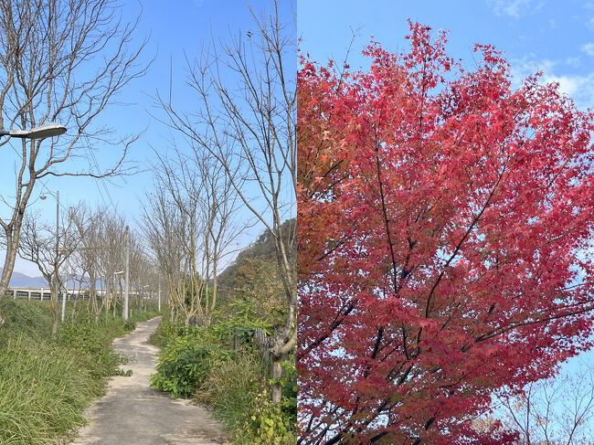 それではバス停から村まで歩いて行きましょう<br /><br />