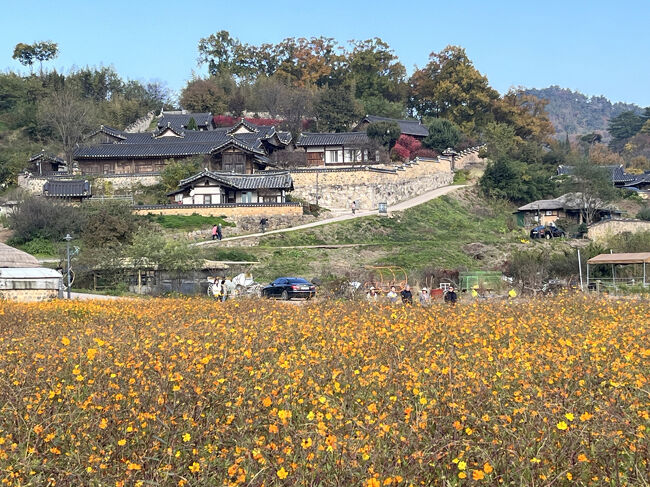 オレンジのお花との組み合わせもいい