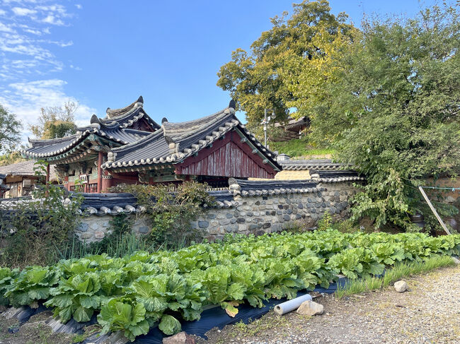 今も実際に人が暮らしています<br />なので細い道ですが車もよく通ります<br /><br />観光客が歩いているのでみなさんゆっくりと車を運転してくれます<br />車が来たらそっと道路の脇に寄りましょう