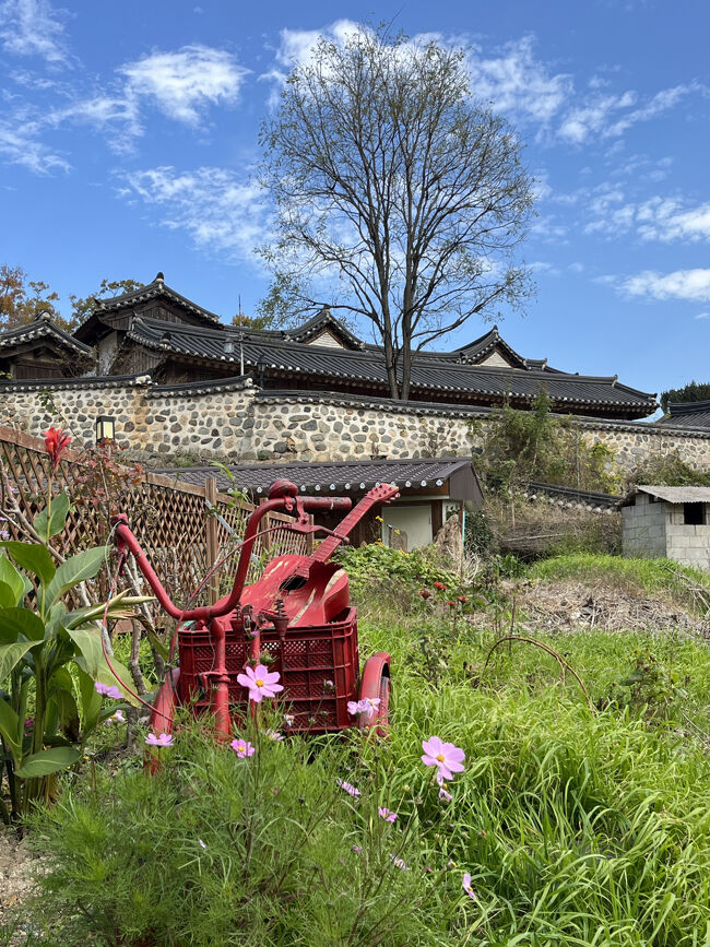 コスモスが咲いてた